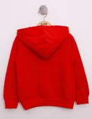 Toontoy Erkek Çocuk Pullu U.S.A Bayraklı Nakışlı Sweatshirt - 5