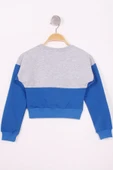 Toontoy Kız Çocuk Fairy Baskılı Garnili Sweatshirt thumbnail 3