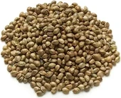 Kendir Tohumu 250 gr - 1