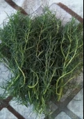 Deniz Fasulyesi Turşusu 1500 ml - 2