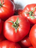 Gün Kurusu El Yapımı Domates Salçası 1500 gr - 2
