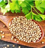 Kişniş (Aşotu) Tohumu 250 gr - 1
