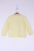 Toontoy Kız Çocuk Avocuddle Nakışlı Sweatshirt - 3