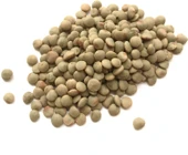 Yeşil Mercimek Toros Yayla 1 kg thumbnail 2