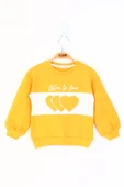Toontoy Kız Çocuk Kalp Nakışlı Sweatshirt - 3