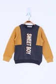 Toontoy Erkek Çocuk Sweet Boy Baskılı Sweatshirt thumbnail 7