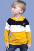Toontoy Erkek Çocuk Kapüşonlu Garni Detaylı Sweatshirt - 9
