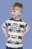 Toontoy Erkek Çocuk Çizgi Desenli Tişört - 5