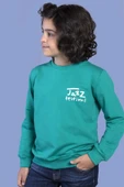 Toontoy Erkek Çocuk  Tazz Baskılı Sweatshirt thumbnail 3