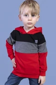 Toontoy Erkek Çocuk Kapüşonlu Garni Detaylı Sweatshirt - 5