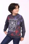 Toontoy Erkek Çocuk Tnty Aslan Baskılı Sweatshirt - 2