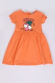 Toontoy Kız Bebek Fruit Yazılı Çilek Baskılı Elbise - 5