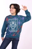 Toontoy Erkek Çocuk Tnty Aslan Baskılı Sweatshirt - 4