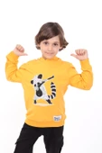 Toontoy Erkek Çocuk Rakun  Baskılı Sweatshirt - 3
