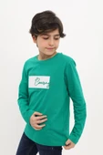 Toontoy Erkek Çocuk Nakışlı Tişört - 3
