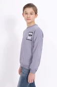 Toontoy Erkek Çocuk Baskılı Sweatshirt thumbnail 6