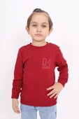 Toontoy Erkek Çocuk Baskılı Sweatshirt - 5