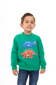 Toontoy Erkek Çocuk Nakışlı Sweatshirt - 4