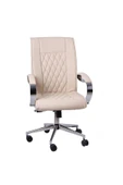 Koltukstilim    İntersteller şef Bej Çalışma Koltuğu thumbnail 1