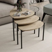 Minar Lenny Zigon Sehpa 3 Lü-Senza thumbnail 1