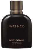 Dolce Gabbana Intenso Erkek Erkek EDP 125 ML - 1