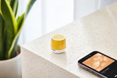 Lexon x Pantone Mino + Bluetooth Hoparlör Sarı - 2