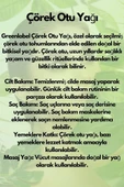 Çörek Otu Yağı Soğuk Sıkım %100 Doğal Ve Saf 50ml - 3