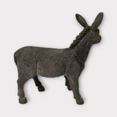 Çiftlik Hayvanları - Eşek thumbnail 4