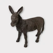 Çiftlik Hayvanları - Eşek thumbnail 3