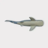 Deniz Hayvanları Köpek Balığı Serisi - Benekli thumbnail 5