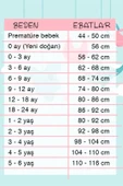 Kruvaze Bağlamalı Dinazor Desenli 2'li Erkek Takım - 8