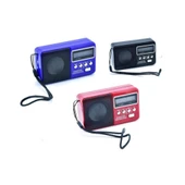 Usb Ve Micro Kart Girişli El Radyosu RT-303 - 1