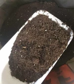 Torf Toprak, Fide, Çiçek, Bitki yetiştirme Torfu 1 Kg thumbnail 1