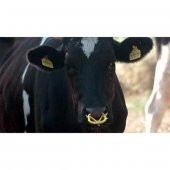 Burunsallık (Emme Önleyici) - 2