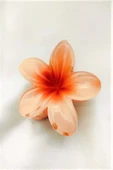 Ten Lotus Çiçek Parlak Akrilik Kadın Vintage Mandal Toka - 3