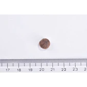 Brit Care Sensitive Hipoalerjenik Larva Proteinli Tahılsız Yetişkin Kedi Maması 7 Kg thumbnail 2