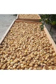 Nazilli Kuru Inciri 1 Kg - Doğal Ve Işlem Görmemiş - - 4