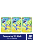 Domestos Tuvalet Bloğu Limon Bahçesi 100 G X3 - 1