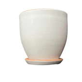 Bitki Tasarımı Solina Beyaz Çift Sırlı İç ve Dış Mekan Kullanımlı Toprak Terrakota Tabaklı Saksı thumbnail 1