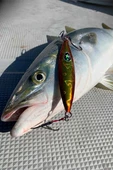 XESTA SLOW EMOTION FLAP QR 180G RGD-ZL - 4