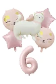 Laviyosa RETRO SEVİMLİ KEDİ FOLYO BALONLU YAŞ BALONLU DOĞUM GÜNÜ PARTİ SETİ SÜSÜ thumbnail 3