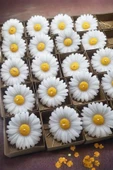 Bkmc 1 Adet Papatya Çiçek Temalı Mum - 3