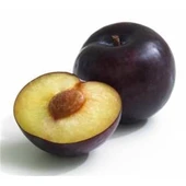 Aşılı Can Erik Fidanı Açık Kök 50-100 cm - 1
