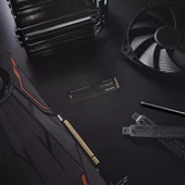 WD_BLACK 250 GB SN770 NVMe Dahili Oyun SSD Kartı - 7