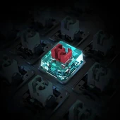 ROCCAT Pro Tenkeyless Lineer Optik Titan Switch PC Oyun Klavyesi - 6