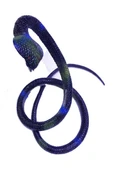 Siyah Renk Gerçekçi Kobra Model Silikon Yumuşak Yılan 80 cm - 1