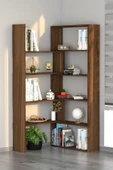 Moonlife Office Dekoratif Kitaplık Ceviz - 1