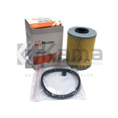 818531 MAZOT FİLTRESİ OPEL CORSA-C (1.7DI/1.7DTI/1.7CDTI) 00- / COMBO-C (1.7DI 16V/1.7DTI 16V/1.7CDTI 16V) 01- / ASTRA-G ( İTHAL - 1
