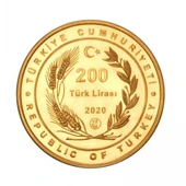 AgaKulche Ayasofya 22 Ayar 916 Altın Hatıra Para - 2