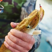 Valkyrie 100 Parça Kutulu İğneli Yumuşak Silikon Kurtçuk Olta Balık Yemi - 4 Renk - 6